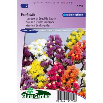 Sea lavender Pacific Mix Seeds - Limonium sinuatum