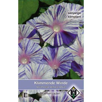 Ipomoea purpurea Venice blue - Morning Glory seeds