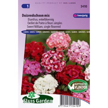 Dianthus barbatus Mix