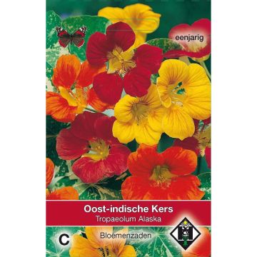 Tropaeolum majus - Nasturtium Alaska Mix Seeds