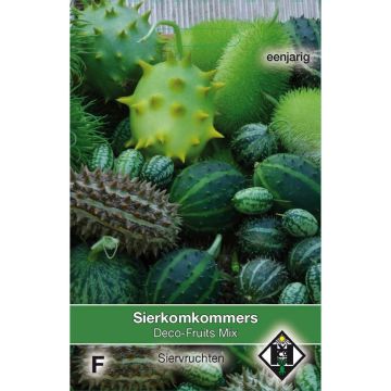 Cucumis Deco Fruits Mix Seeds - Ornamental cucumber mix