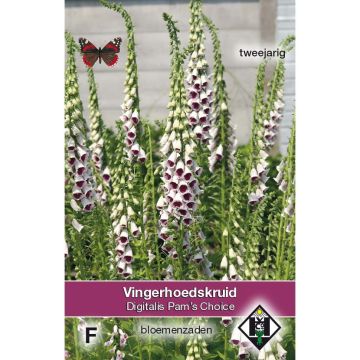 Foxglove Pams Choice Seeds - Digitalis purpurea