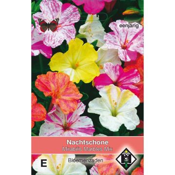 Mirabilis jalapa Marbles Mix - seeds