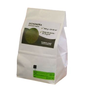 Dichondra repens seed