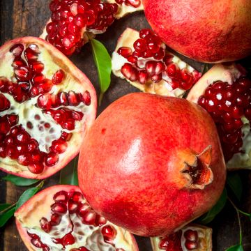 Punica granatum Provence - Pomegranate