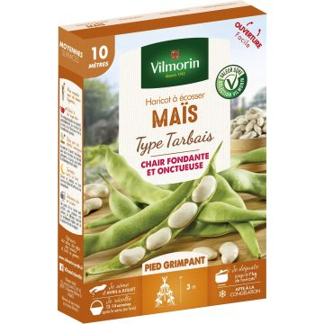 Pole Dry Bean Maïs Tarbais - Vilmorin Seeds
