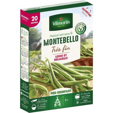 Haricot à rames Montebello - Vilmorin