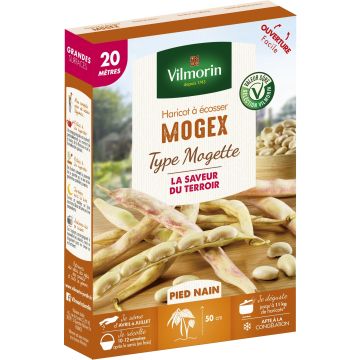 Haricot nain à écosser Mogex - Création Vilmorin