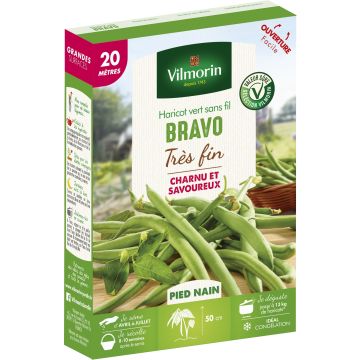 Dwarf Filet Bean Bravo - Vilmorin Seeds