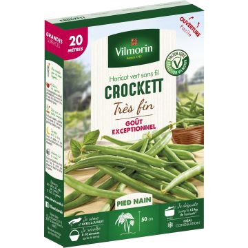 Dwarf Filet Bean Crockett - Vilmorin Seeds