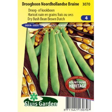 Dwarf Bean for Shelling Noordhollandse Bruine