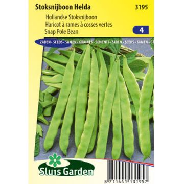 French Pole Bean Helda