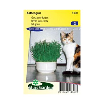 Cat Grass - Blend of cereals