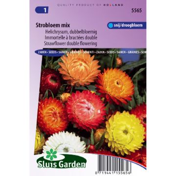Strawflower Double Flowered Mixed Seeds - Helychrysum monstruosum