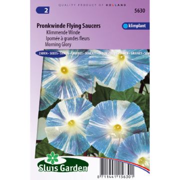 Ipomoea tricolor - Morning Glory Flying Saucers Seeds