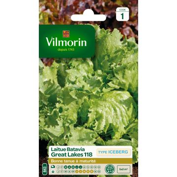 Iceberg Lettuce Great Lakes 118 - Vilmorin seeds