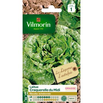 Romaine Lettuce Craquerelle du Midi - Vilmorin seeds