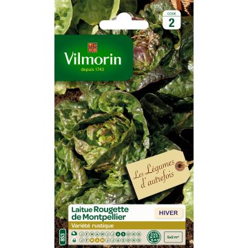 Butterhead lettuce Rougette de Montpellier - Vilmorin Seeds