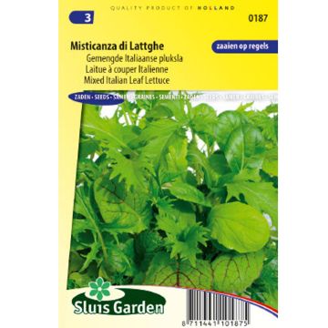 Loose leaf Lettuce Misticanza di Lattghe - Italian salad mix