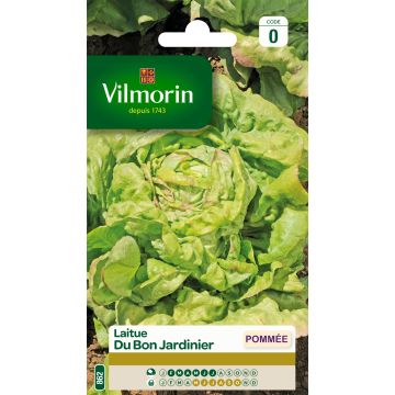 Butterhead Lettuce du Bon Jardinier - Vilmorin Seeds