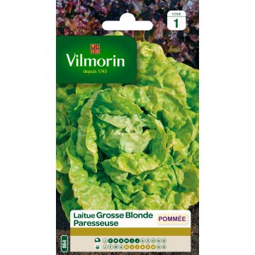 Butterhead Lettuce Fat Lazy Blonde - Vilmorin Seeds