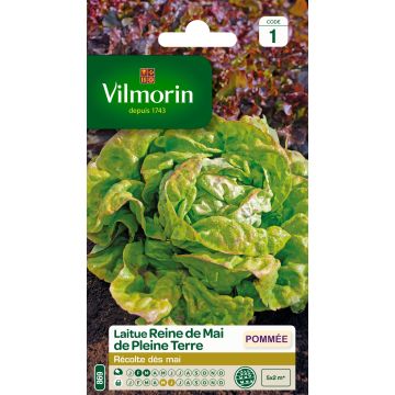 Butterhead Lettuce May Queen - Vilmorin Seeds