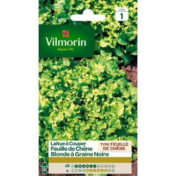 Loose leaf Lettuce Black Seeded Simpson - Vilmorin seeds