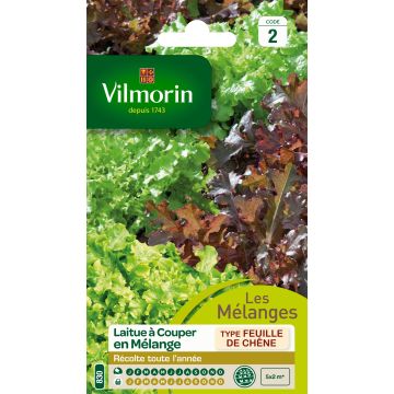 Loose leaf Lettuce mix - Green and Red Salad Bowl - Vilmorin seeds