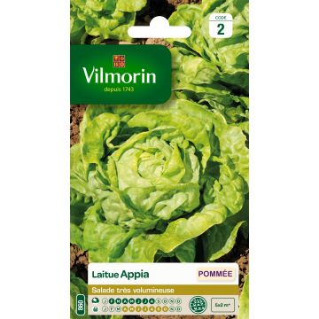 Laitue Pommée Appia - Vilmorin