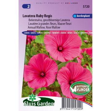 Lavatera trimestris Ruby Regis - Annual Mallow Seeds