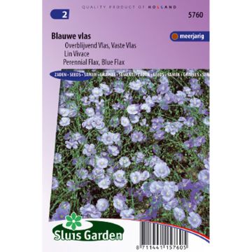 Linum perenne - Blue Perennial Flax Seeds