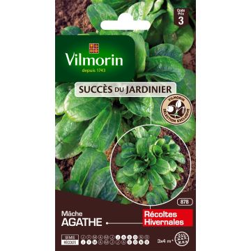 Lambs Lettuce Agathe - Vilmorin Seeds