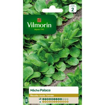 Lambs Lettuce Palace - Vilmorin Seeds