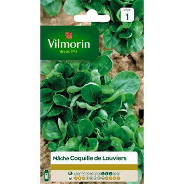 Lambs Lettuce Coquille de Louviers - Vilmorin Seeds