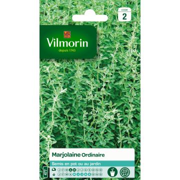 Common Marjoram - Vilmorin seeds seeds