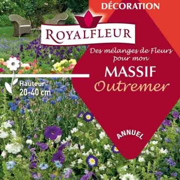 Ultramarine flowerbed mix - box for 8m2
