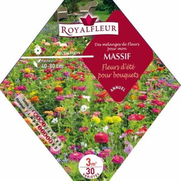 Flowerbed mix for bouquets - packet for 3 m2