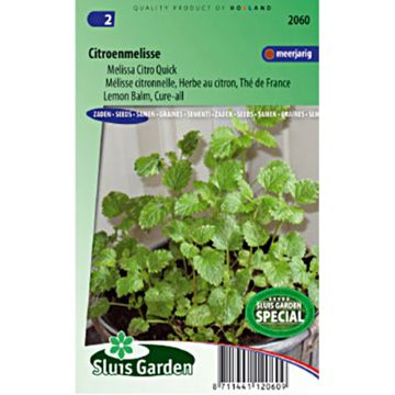 Citro Quick" Lemon Balm