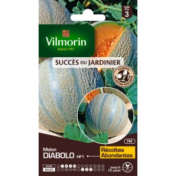 Charentais Melon Diabolo F1 - Vilmorin Seeds