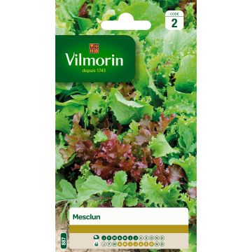 Mesclun - Vilmorin Seeds