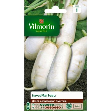 Turnip Des Vertus Marteau - Vilmorin Seeds