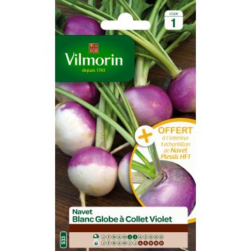 Turnip Purple Top White Globe + Plessis F1 sample - Vilmorin Seeds