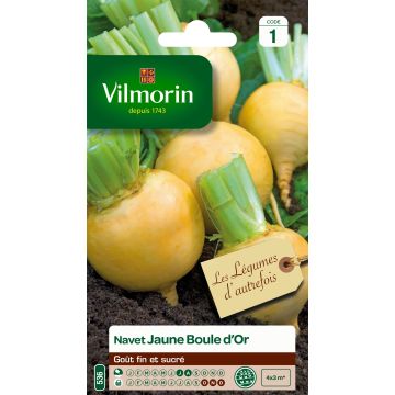 Turnip Golden Ball - Vilmorin Seeds