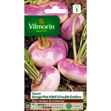 Turnip Early Flat Red - Vilmorin Seeds