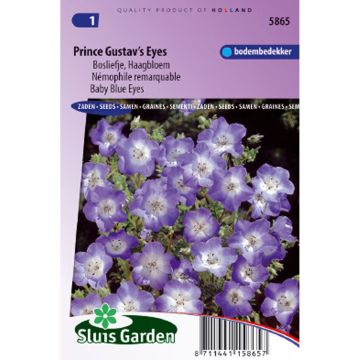 Nemophila menziesii Prince Gustav’s Eyes - Baby Blue Eyes Seeds