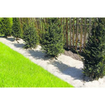 Bio-degradable Natural Mulch Fabric Chanvrelin 750