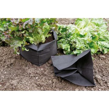 Planting bag to protect young plants - pack of 12