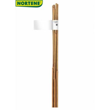 Natural Bamboo Cane Plant Supports
