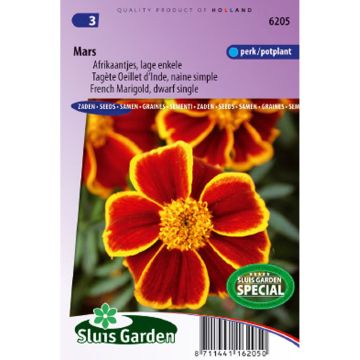 Mars Marigold Seeds - Tagetes patula