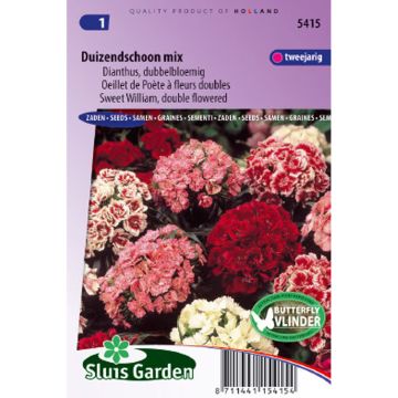 Sweet William Double Seed Mix - Dianthus barbatus